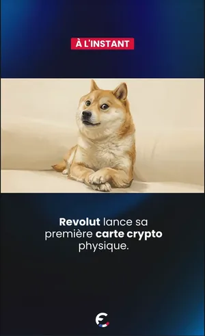 Vidéo France Cryptos sur Instagram