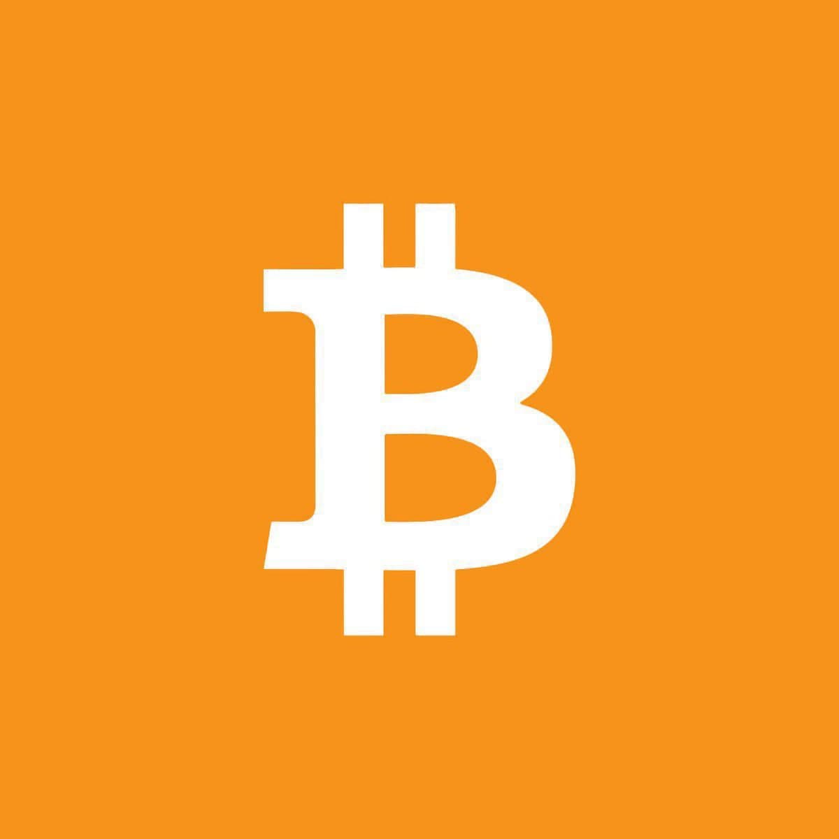 Crypto : 2 300 milliards effacés en 8 mois, le bear market s'installe