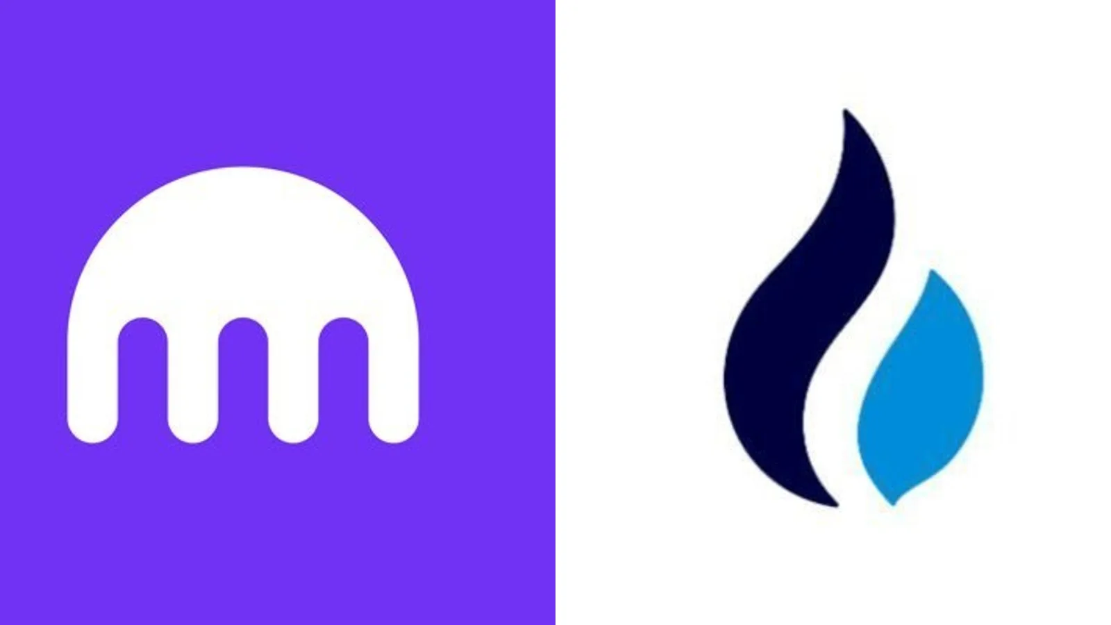 Kraken : 12 000 micro-virements en USDT depuis des wallets liés à HTX ont gelé des comptes clients