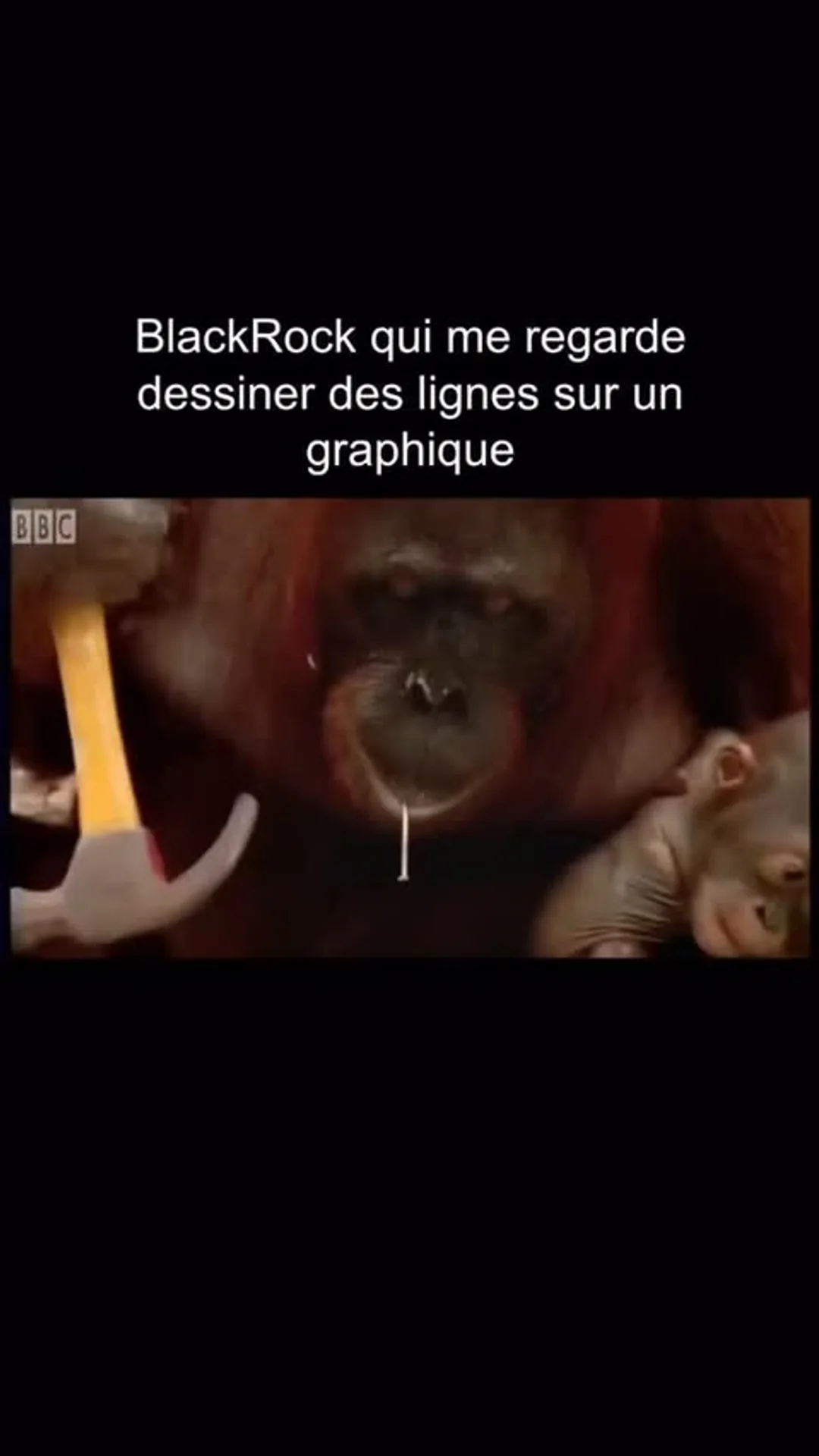 Ils nous vois réellement comme ça 😭