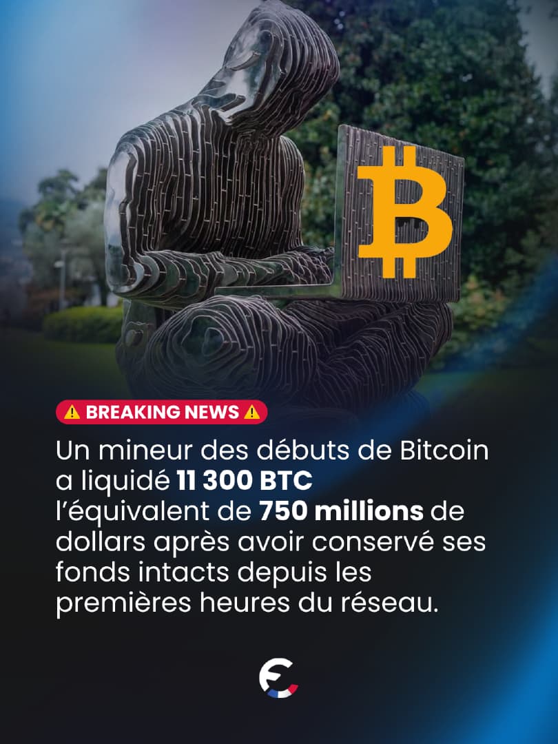 Et vous ? Avec 11 300 BTC, vous auriez fait quoi : 💰 Vendre maintenan...