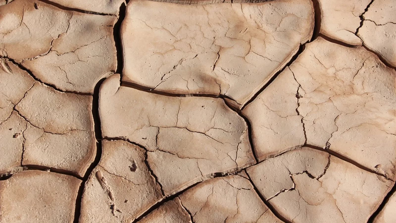 Crise alimentaire mondiale : l'urée a chuté de 850 à 392 dollars la tonne, mais l'ammoniac anhydre reste sous tension